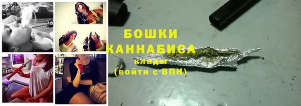 шишки Баксан