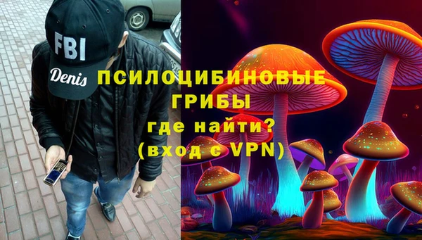 шишки Баксан