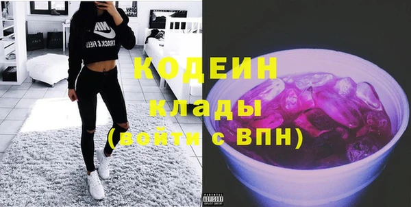 шишки Баксан