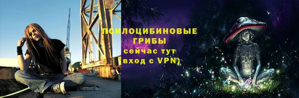 ECSTASY Балабаново