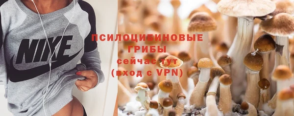 шишки Баксан